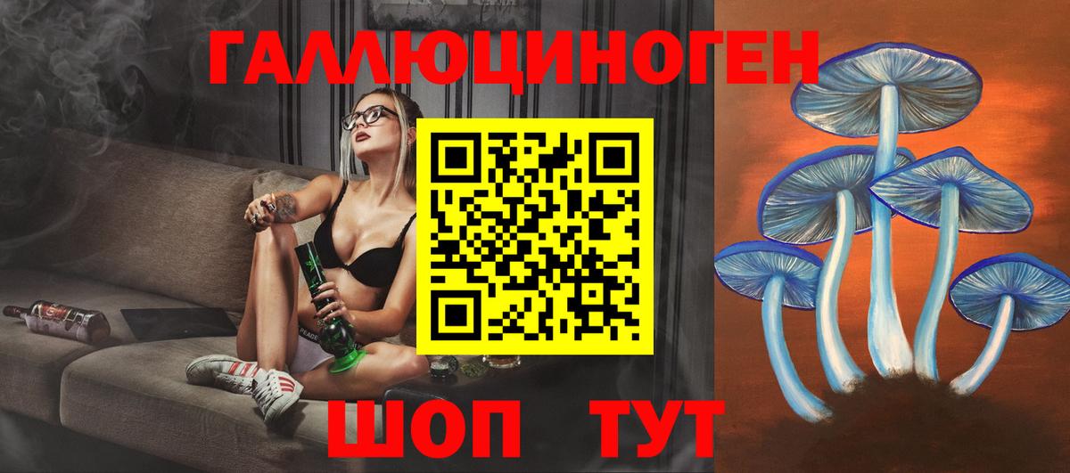 Псилоцибиновые грибы GOLDEN TEACHER Темрюк