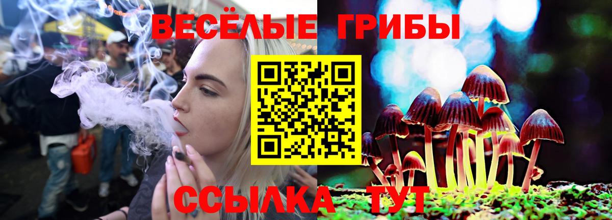 Галлюциногенные грибы мицелий  Вход с VPN  Псилоцибиновые грибы Psilocybine cubensis  наркотики  Темрюк 